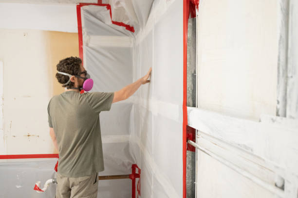Best Industrial Mold Remediation  in Sho Creek, AL